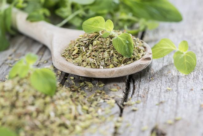 Oregano, czyli lebiodka pospolita - jakie ma właściwości korzystne dla zdrowia?